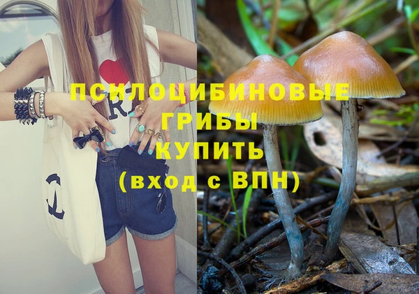 mix Абаза
