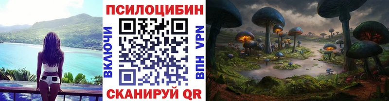 цена наркотик  Тольятти  Галлюциногенные грибы мицелий 