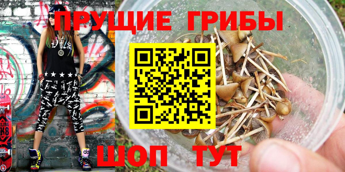 Тольятти  где найти   Вход с VPN  Галлюциногенные грибы GOLDEN TEACHER 