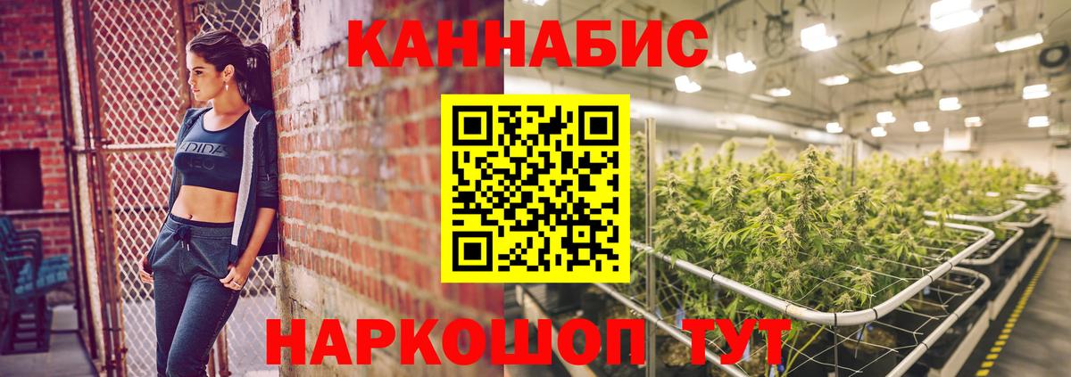 Тольятти  Каннабис индика  Конопля индика  Вход с VPN  Бошки марихуана White Widow  Шишки марихуана конопля 